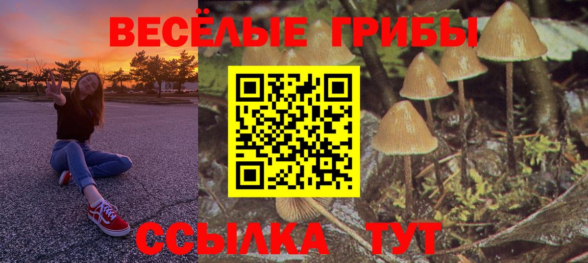 Галлюциногенные грибы прущие грибы Трёхгорный