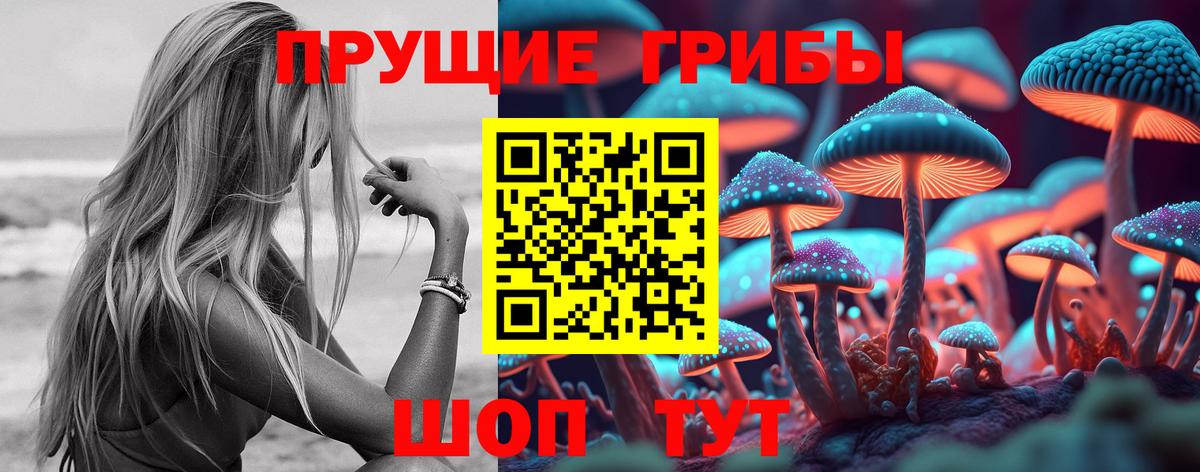 Галлюциногенные грибы GOLDEN TEACHER  Галлюциногенные грибы прущие грибы  Трёхгорный  Вход с VPN 